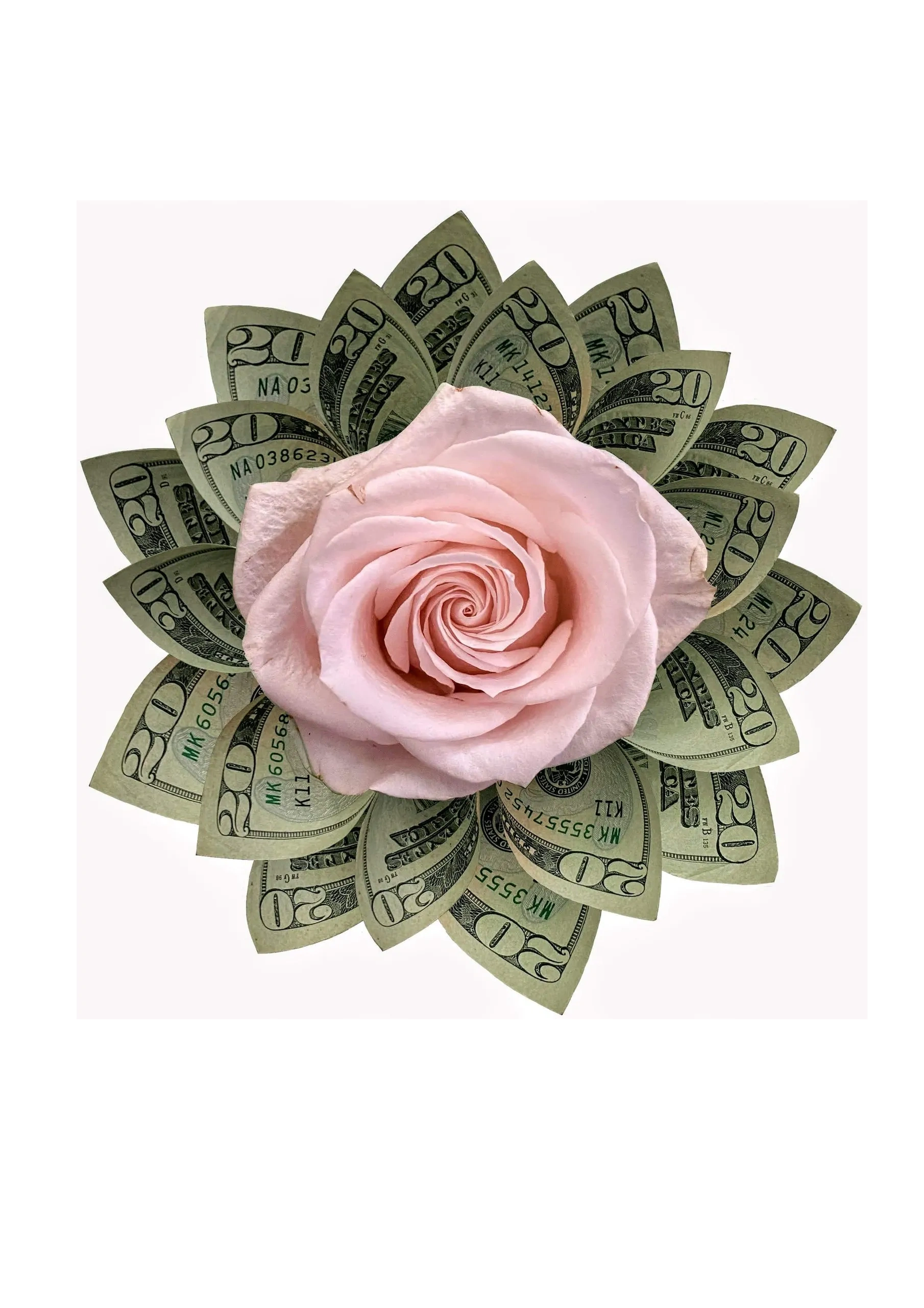 A pink rose surrounded by petals made of folded 20-dollar bills.