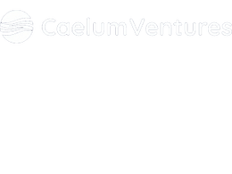 Caelum Ventures, LLC