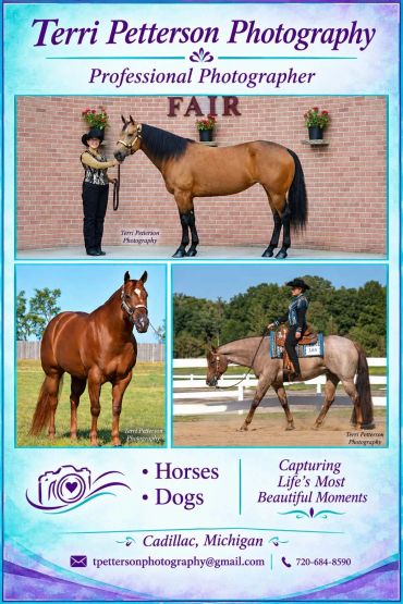 Photography ad featuring horses and a rider.