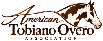 American Tobiano 
& Overo Association