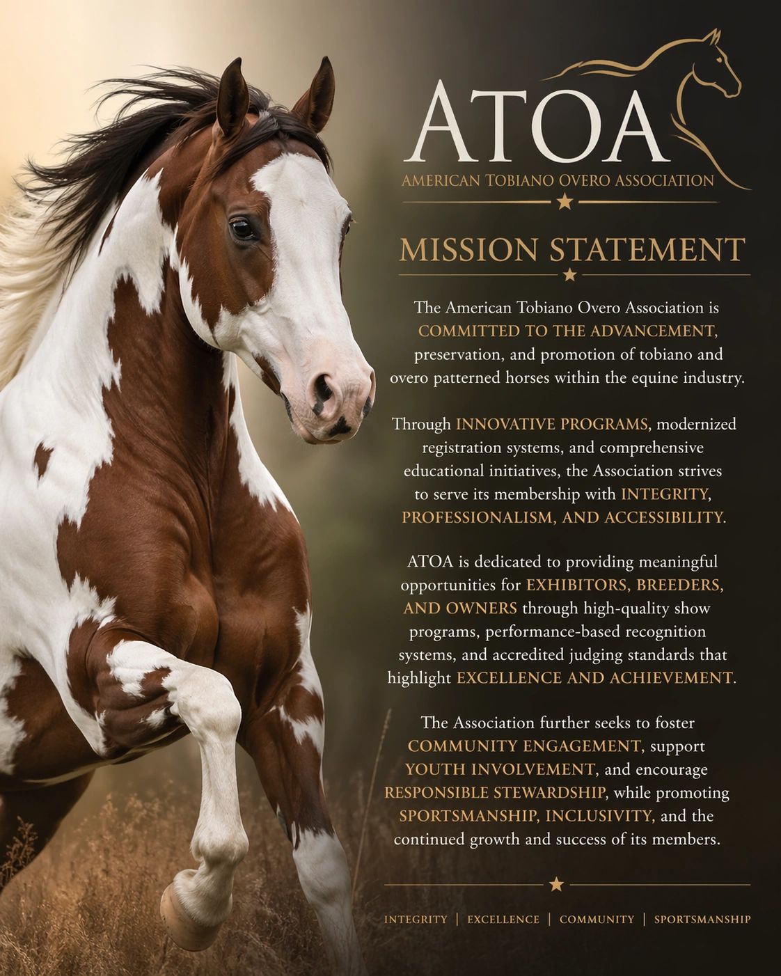 Brown and white tobiano horse next to the American Tobiano Overo Association mission statement.