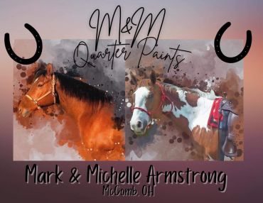Logo of M&amp;M Quarter Paints with two horses.