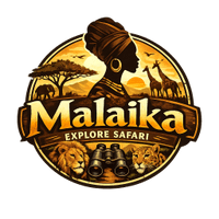 Malaika Explore Safari