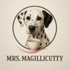 The Magillicutty Company LLC