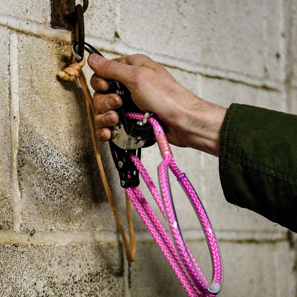 Man clippling the EquiJack to a metal ring.