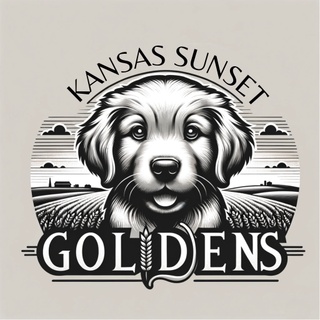 Kansas Sunset Goldens