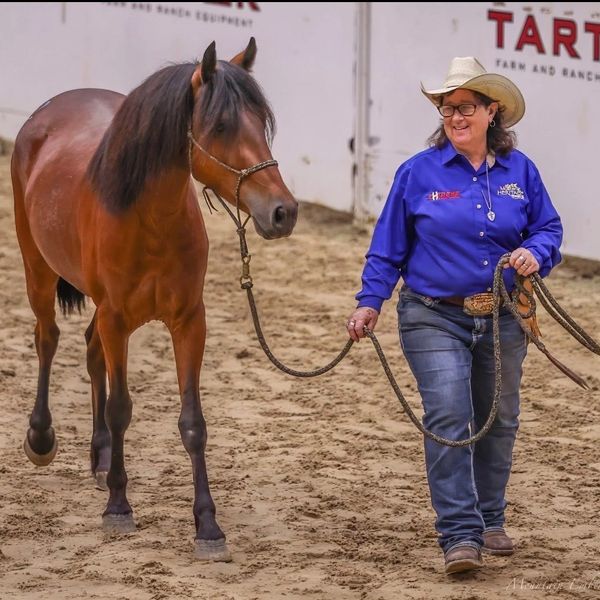 Woman leading a horse in an indoor arena.