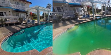 Green to clean pool service in the Bay Area restoring algae-filled pool to clear blue water.