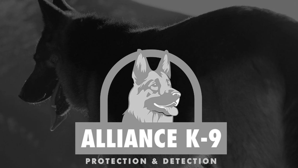 A serene landscape featuring mountains, a lake, and a clear blue sky, evoking tranquility and natural beauty.