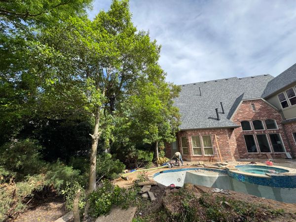 A backyard with a tree and an unfinished swimming pool near a brick house.