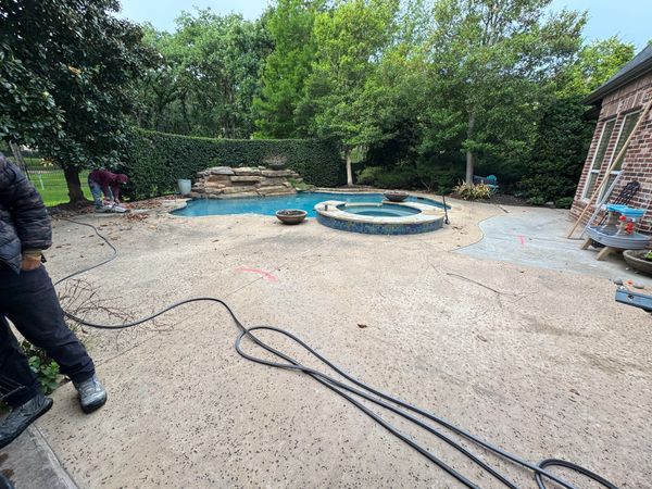 Outdoor area with a cement surface, garden, and garden hose coiled on the ground.