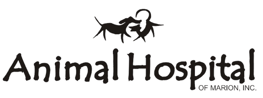 Animal Hospital of Marion