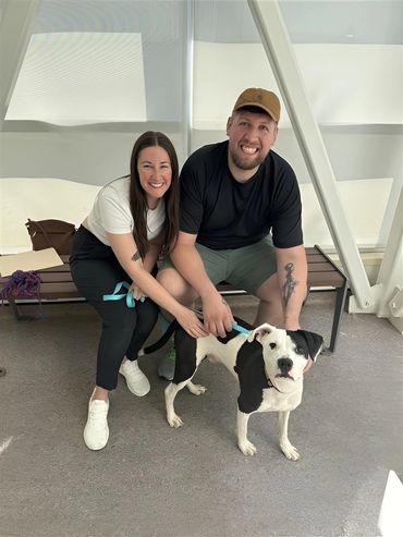 Adoption Day!