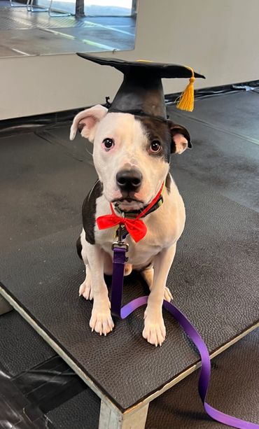 Russell's Graduation Day!