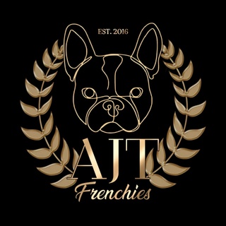 AJT French Bulldogs Sydney