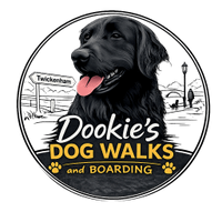 dookiesdogwalks.com