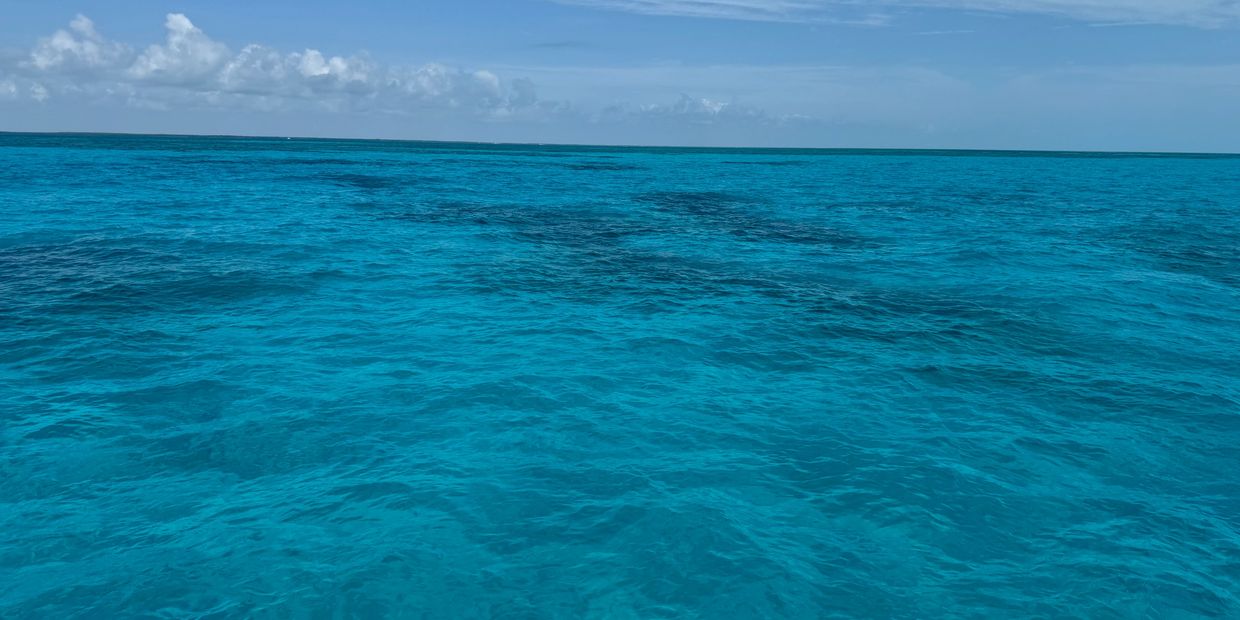 the water of Key Largo, FL