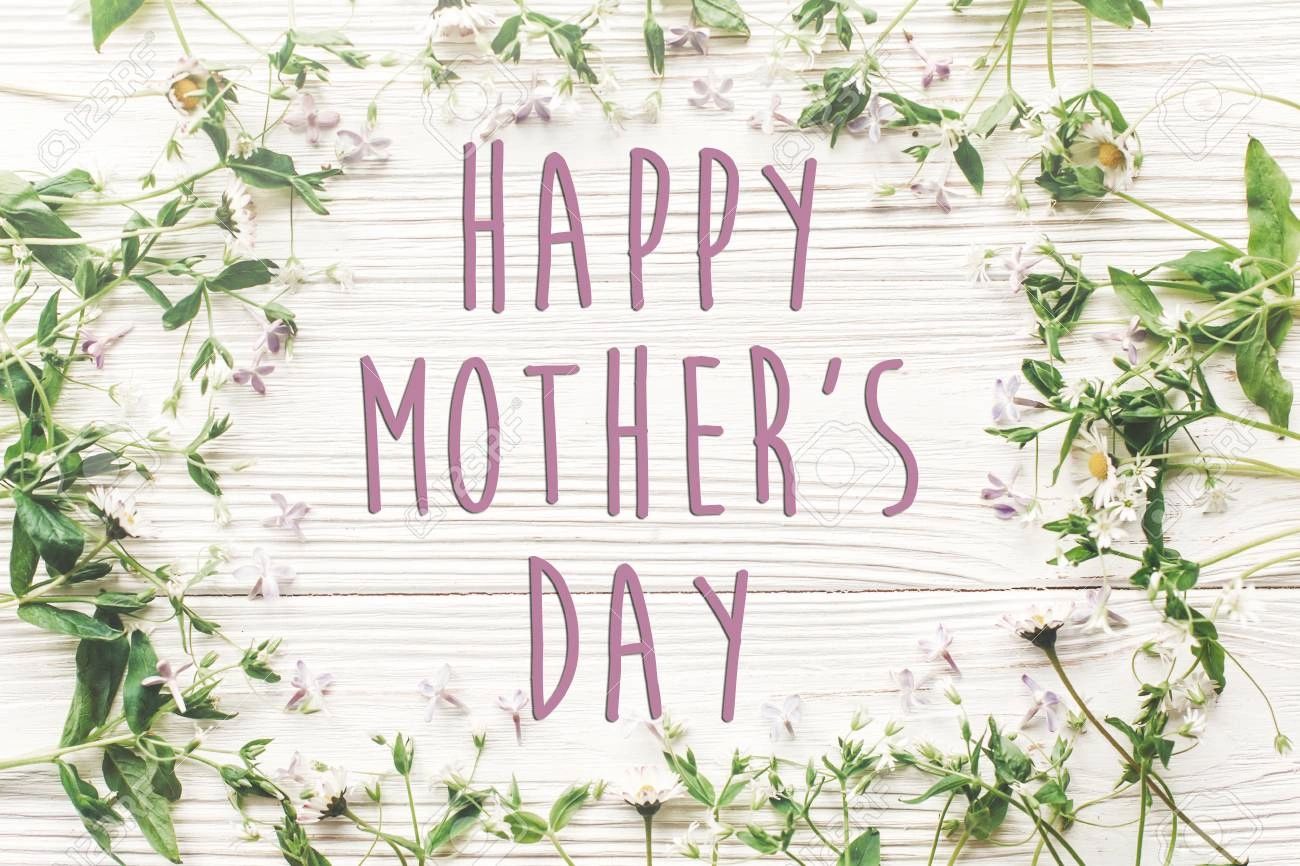 Green Bottle Herbs Herbs, Essential Oils