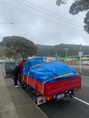 Whiteware Transport Wellington