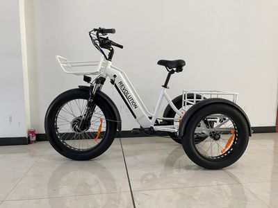 Revolution E-Trike