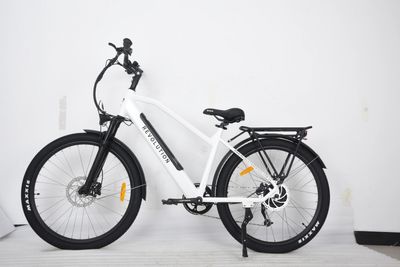 Revolution Hybrid E-Bike