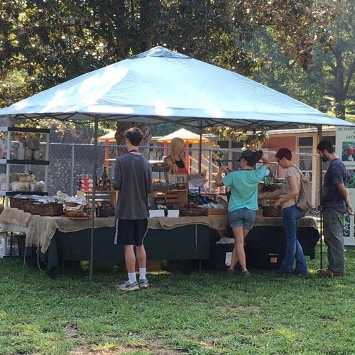 Mushroom Festival Mushroom Festival