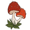 Georgia Mushroom Festival 