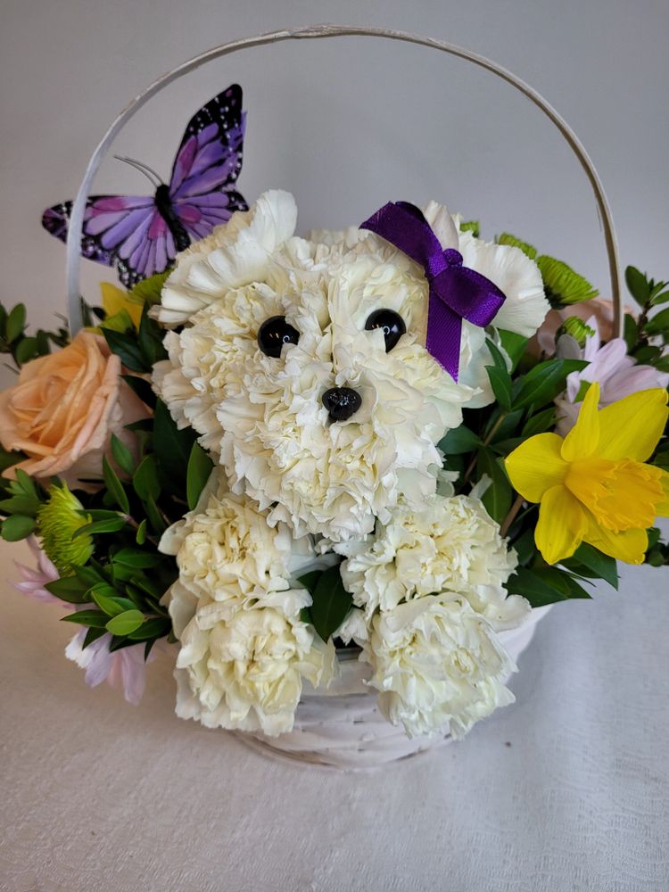 Introducing Snuggles! Our adorable floral creation will melt anyone's heart. 