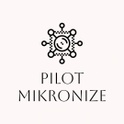 Pilot Mikronize