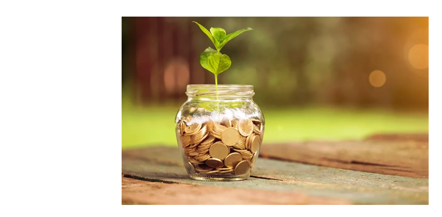 Coins in a jar with a live plant symbolizing donations can help save lives