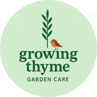 Growing Thyme