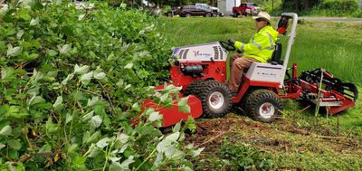 Mowing tall brush