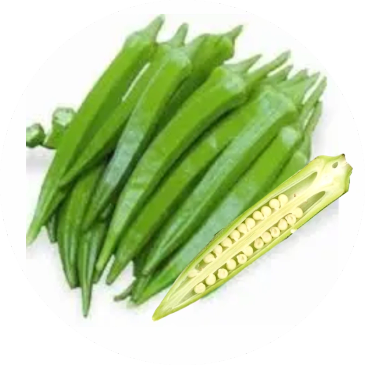 Fresh green okra pods with a cut showing seeds.