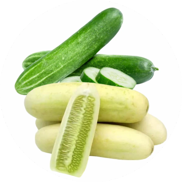 Green and white cucumbers, some sliced.