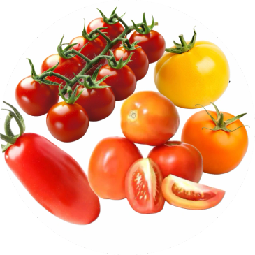 Various types of tomatoes including red, orange, and yellow.