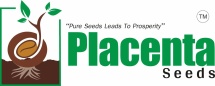 Placenta Seeds Exports