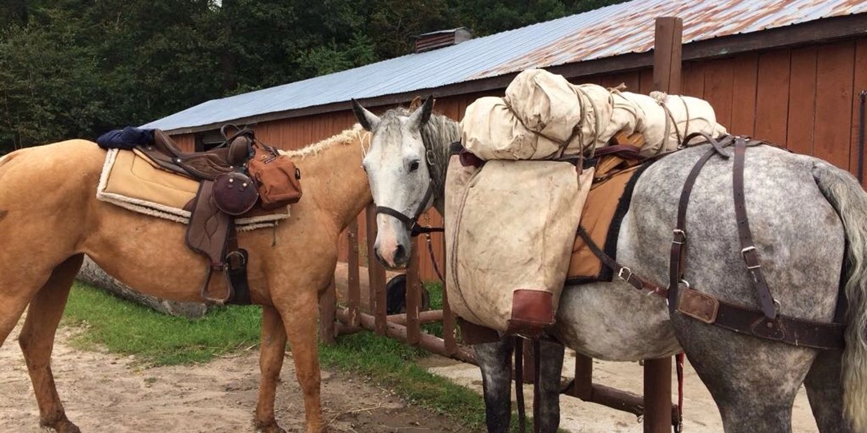 Two saddled horses standing near a wooden fence by a barn.