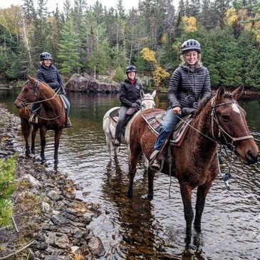 Three people horseback riding through a shallow river surrounded by forest.