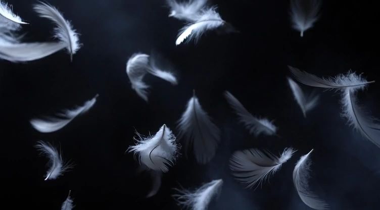 https://img1.wsimg.com/isteam/ip/5662123e-b7ab-4dce-9118-b073cc9567ce/thumbnails/thumbnail-e357c026-a7a2-4491-9e54-6b8ece612a80.png