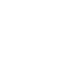 p4lnetworks.com