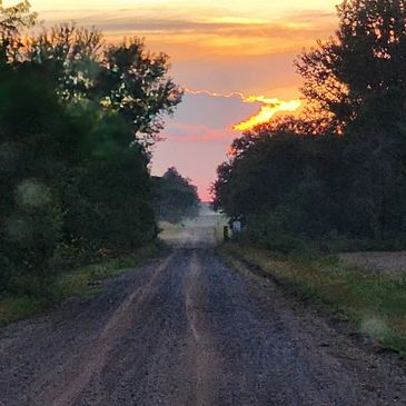 Sunset over a rural dirt road lined with trees on both sides.