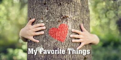 Best camping gear website. Trial and Errors to find the best gear for the adventure and sport. Best 