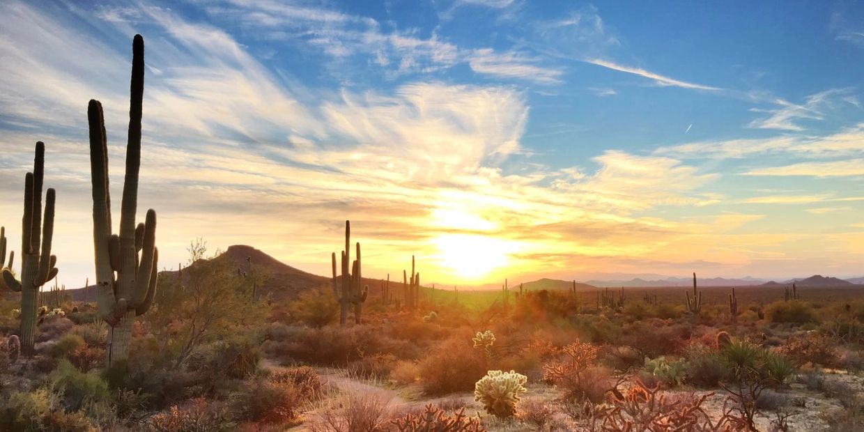 Cave Creek Arizona Desert Sunrise