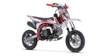 125cc Dirt Bike Fully Automatic Pit Bike - DB-X6