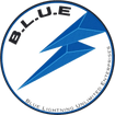 BLUE LIGHTNING UNLIMITED ENTERPRISES 
