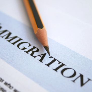 A pencil resting on an immigration form.
