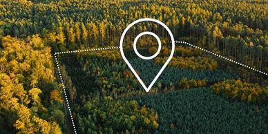 Aerial view of a forest area marked with a location pin and boundary lines.