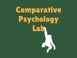 Comparative Psychology Lab