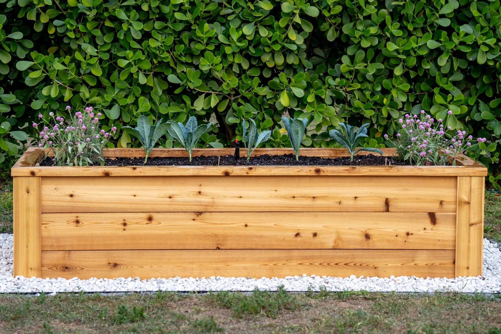 Palm Beach Kitchen Gardens