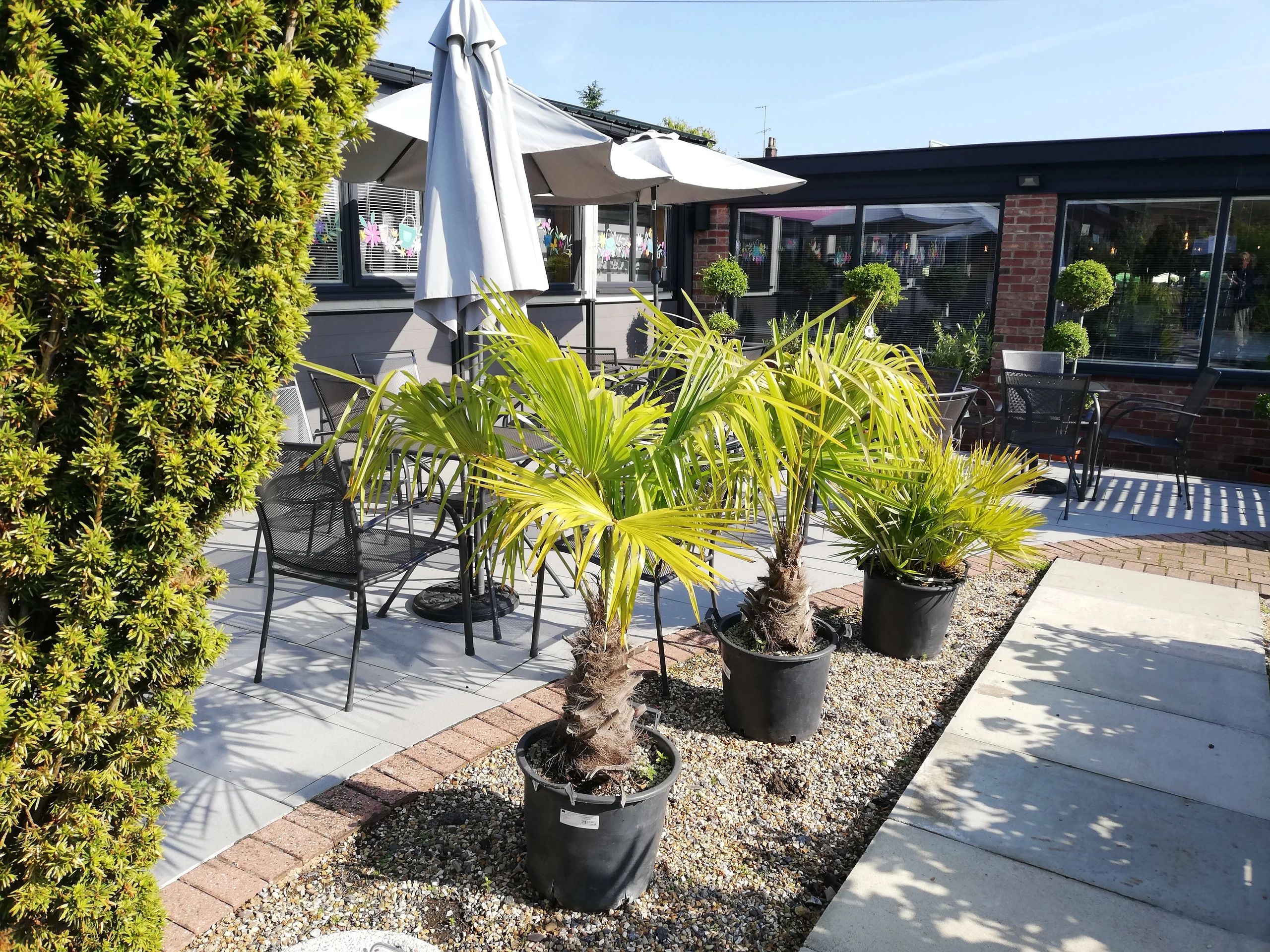Green Bean Cafe